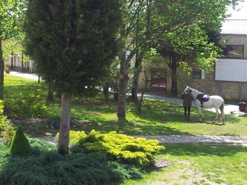 Alda Palas De Rei Εξωτερικό φωτογραφία